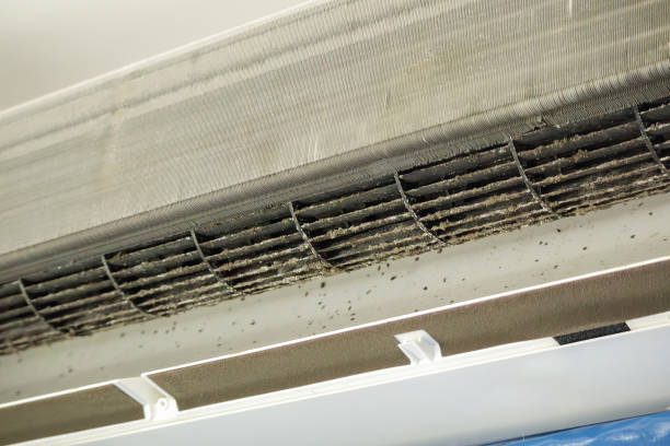 Best Dryer Vent Cleaning Services  in Wilson, AR
